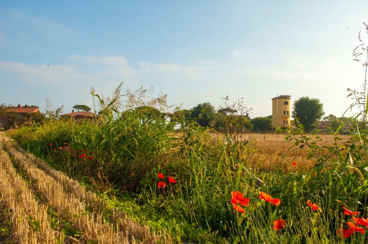 Il Silos Maccarese Kültér fotó